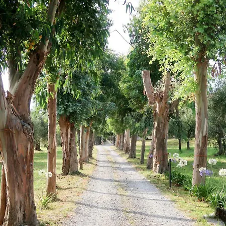 Locazione Turistica Agriturismo Ada Musso Apartment